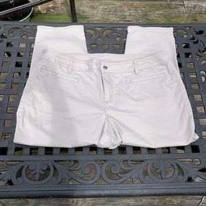 Lane Bryant crop stretch chinos size 20